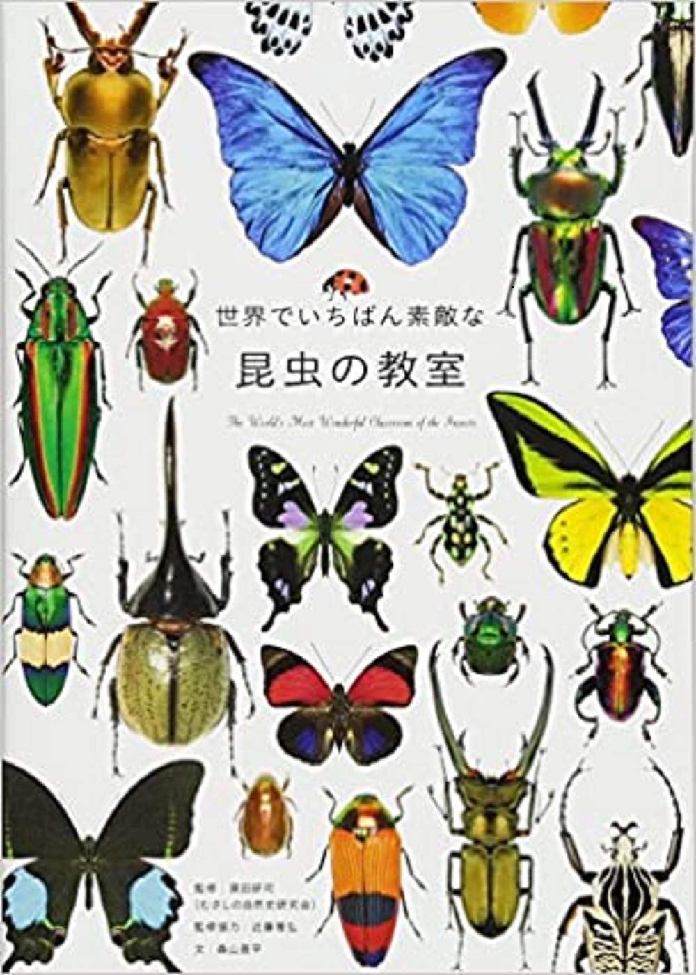 昆虫図鑑 昆虫の生態 知識 学び 探究心 昆虫解説書 昆虫の不思議 昆虫観察 昆虫の...