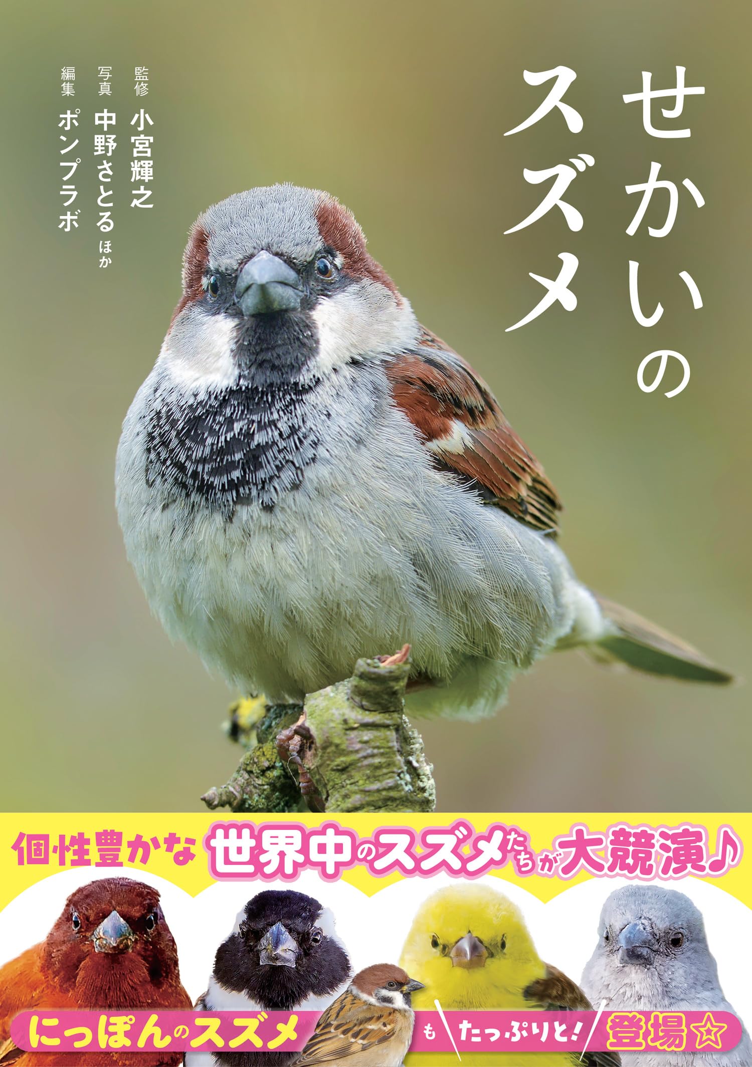 ぬいぐるみ リアル 鳥 雑貨 インテリア 飾り 置物 おもちゃ プレゼント ギフト 贈り物 癒し グッズ 小鳥 野鳥 雀