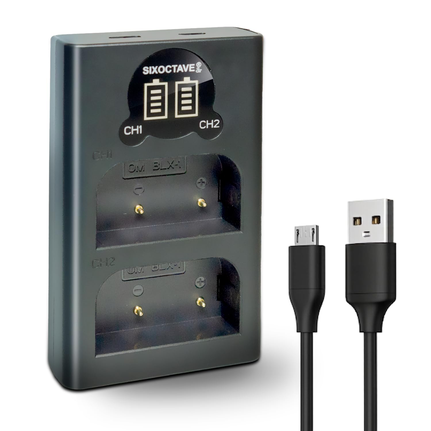 カメラ用充電器 デュアル USB 急速充電器 カメラバッテリーチャージャー 2個同時充...