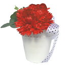 ソープフラワー 石鹸のお花 デュオ リボンアレンジ カーネーションとバラ(レッド)フラワーソープ インテリア雑貨 ギフト雑貨 通販