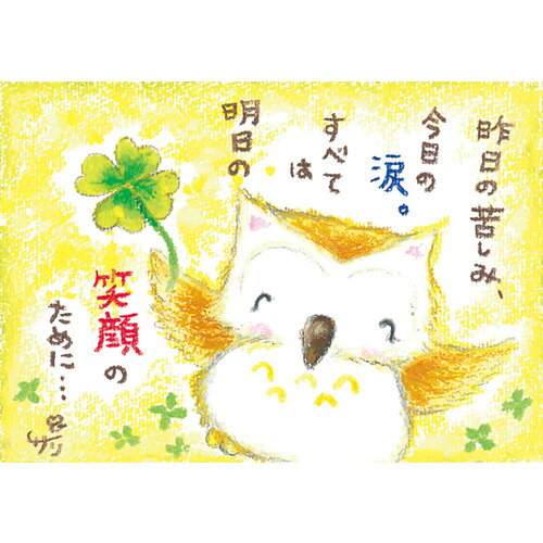 絵描きサリー ポストカード《SSA-45》【昨日の苦しみ/フクロウ】 絵葉書【追跡可能メール便可】