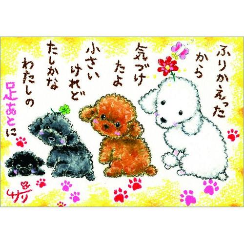 Seasonal Cards - 絵描きサリー ポストカード《SSA-60》【ふりかえったから/プードル】 絵葉書【追跡可能メール便可】
