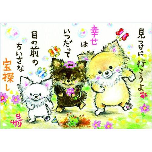 乐天商城 - 絵描きサリー ポストカード《SSA-62》【見つけに行こうよ/チワワ】 絵葉書【追跡可能メール便可】