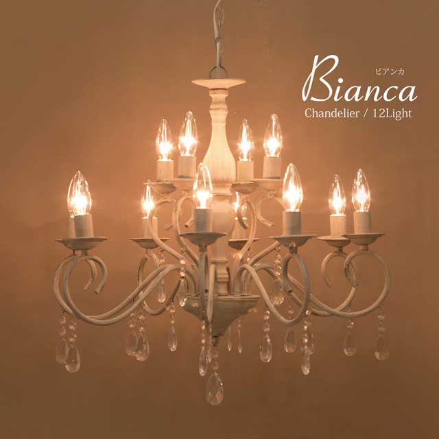 ǥꥢBianca ӥ󥫡12˥ƥ  쥤