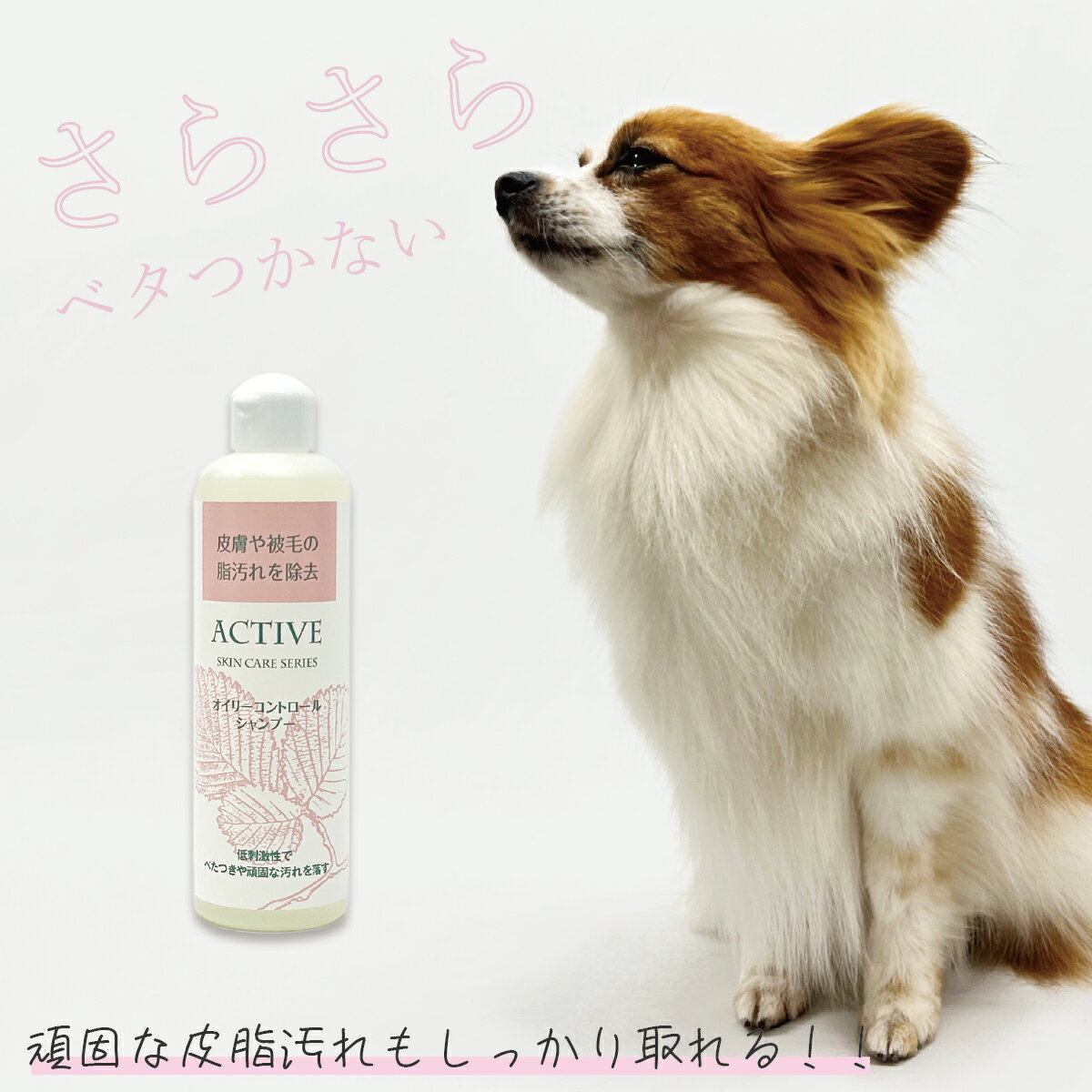 【アジル】オイリーコントロールシャンプー