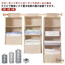 クローゼット 吊り下げ収納 3段 4段 5段 引き出し ボックス ハンガーラック ハンガー 吊るす収納 吊るす 収納 ラック 収納ラック 吊り下げ 吊り 吊り下げ ケース 収納ケース ハンギング バッグ収納 布 下着 衣類 セーター 帽子 押入れ 通気性 送料無料