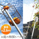 【公式店】お庭の柿採りバスケット柿取り棒 柿取り器 くだもの 収穫 柿 かき 柿採り 柿取り 1