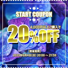 【2時間限定！】4,000円以上ご購入で使用できる20％OFFクーポン