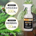 【27日2時までエントリーP10倍】カメムシ 虫除けスプレー 忌避剤 虫よけ 虫除け 天然由来成分100% 植物由来成分100% 亀虫 龜虫 檜葉 桧 ひのき ヒノキ ハッカ油 薄荷油 カメムシガード