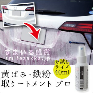 【4/20発売予約商品】黄ばみ・鉄粉取りートメント プロ 40ml 黄ばみ取り 鉄粉取り