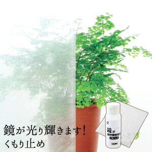 【公式店】鏡が光り輝きます! くもり止めくもり止め 親水性 親水膜 鏡 コート剤 風呂