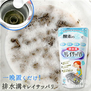 【公式店】排水溝洗浄剤 排水溝キレイサッパリ洗浄 消臭 除菌 防カビ 弱アルカリ性 酸素の力 泡 200gのサムネイル