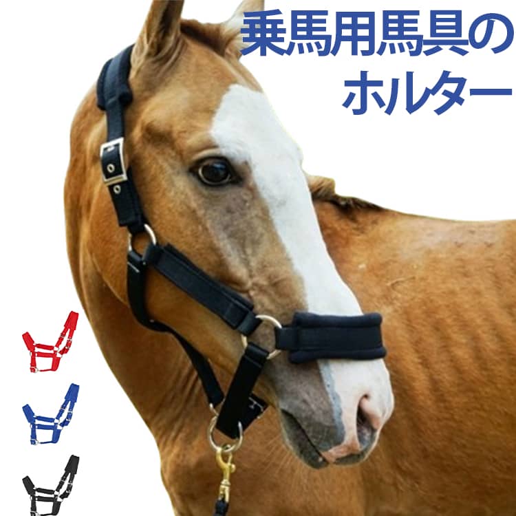 ストーンをあしらいエレガントな雰囲気。 サイズ XS S M L XL サイズについての説明 サイズ（馬の体高）：XS（0.9-1.1m） S（1.1-1.3m） M（1.3-1.5m） L（1.5-1.65m） XL（1.65-1.75m） 素材 ポリエステル 色 レッド ブルー ブラック 備考 ●サイズ詳細等の測り方はスタッフ間で統一、徹底はしておりますが、実寸は商品によって若干の誤差(1cm～3cm )がある場合がございますので、予めご了承ください。 ●製造ロットにより、細部形状の違いや、同色でも色味に多少の誤差が生じます。 ●パッケージは改良のため予告なく仕様を変更する場合があります。 ▼商品の色は、撮影時の光や、お客様のモニターの色具合などにより、実際の商品と異なる場合がございます。あらかじめ、ご了承ください。 ▼生地の特性上、やや匂いが強く感じられるものもございます。数日のご使用や陰干しなどで気になる匂いはほとんど感じられなくなります。 ▼同じ商品でも生産時期により形やサイズ、カラーに多少の誤差が生じる場合もございます。 ▼他店舗でも在庫を共有して販売をしている為、受注後欠品となる場合もございます。予め、ご了承お願い申し上げます。 ▼出荷前に全て検品を行っておりますが、万が一商品に不具合があった場合は、お問い合わせフォームまたはメールよりご連絡頂けます様お願い申し上げます。速やかに対応致しますのでご安心ください。