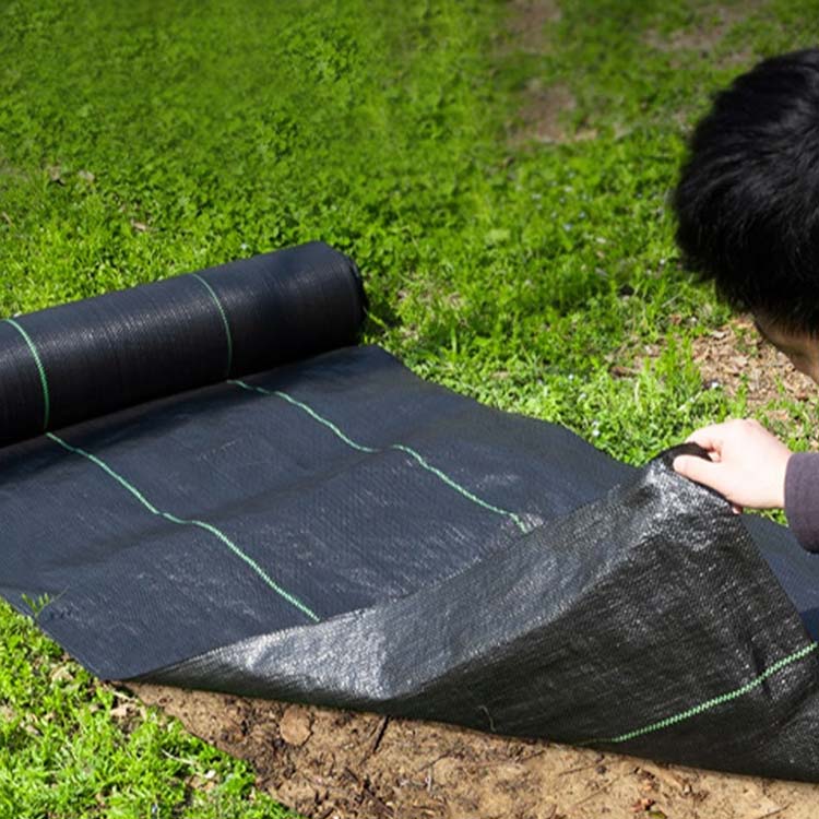 畑 UV剤入り 田んぼ 除草シート 40cmx200m 雑草防止シート 農用シート 雑草防止 園...