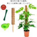 植物支柱 3本セット 園芸支柱 モンステラ支柱 30cm 40cm 50cm 鉢植え 観葉支柱 ガーデニング用 支柱 おしゃれ つる性植物 天然ココナッツ 連結...