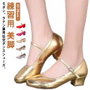 ダンスシューズ 社交ダンス レディース ラテンダンス シューズ ラテンシューズ レディース靴 タンゴ モダン ジャズ レッスン 練習用 美脚 サルサ 柔らか 女...
