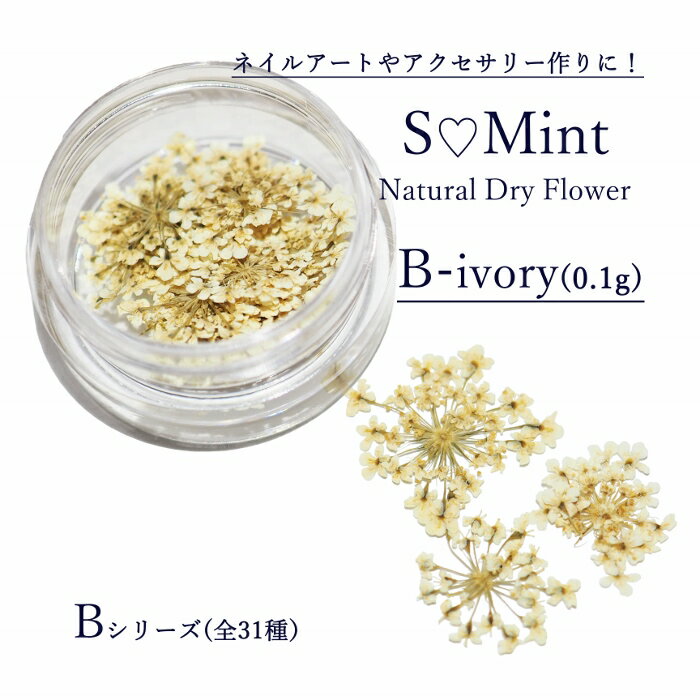 【Bシリーズ】B-ivory(0,1g入り)どんなアートにも相性抜群!! 押し花 ネイルアート アクセサリー　ハンドメイド エスミント ナチュラル ドライフラワー ドライフラワー 押し花ネイル 花材 アクセサリーパーツ ネイルパーツ