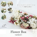 Flowerbox -series1- / ドライフラワー プリザーブドフラワー パンパスグラス インテリア 撮影用小物 プレゼント イベント スターチス 自社...