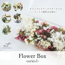 Flowerbox -series1- /　ドライフラワー　プリザーブドフラワー　パンパスグラス　インテリア　撮影用小物　プレゼント　イベント　スターチス　自社染色　オリジナルカラー