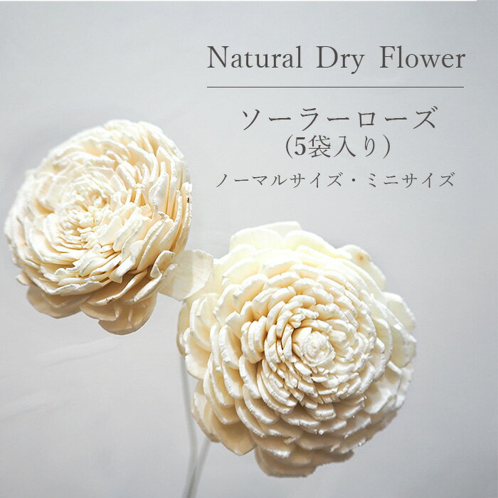 ソーラーローズ【2本入り】　/　ドライフラワー　ドライリーフ　DryFlower　花材　インテリア　スワッグ　ブーケ　フラワーアレンジメント　ハンドメイド　プレゼント　ギフト　ワイルドフラワー　一輪挿し