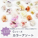 ネイル 国産 押し花 ドライフラワー ハンドメイドエスミント 高品質 押し花 押花 ネイルアート ナチュラル ドライフラワー 押し花ネイル 花材 パーツ ネイルパーツ 染め かすみ草