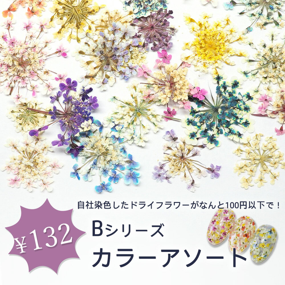 ネイル 国産 押し花 ドライフラワー ハンドメイド【Bシリーズ　カラーアソート(約0,15g入り)】エスミント 高品質 押し花 押花 ネイルアート ナチュラル ドライフラワー 押し花ネイル 花材 パーツ ネイルパーツ