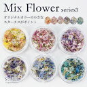 ネイル 押し花 ドライフラワー ハンドメイド【MixFlower シリーズ3】エスミント 高品質 押し花 押花 ネイルアート ナチュラル ドライフラワー 押し花ネイル 花材 パーツ ネイルパーツ お花ネイル ボタニカル リーフ