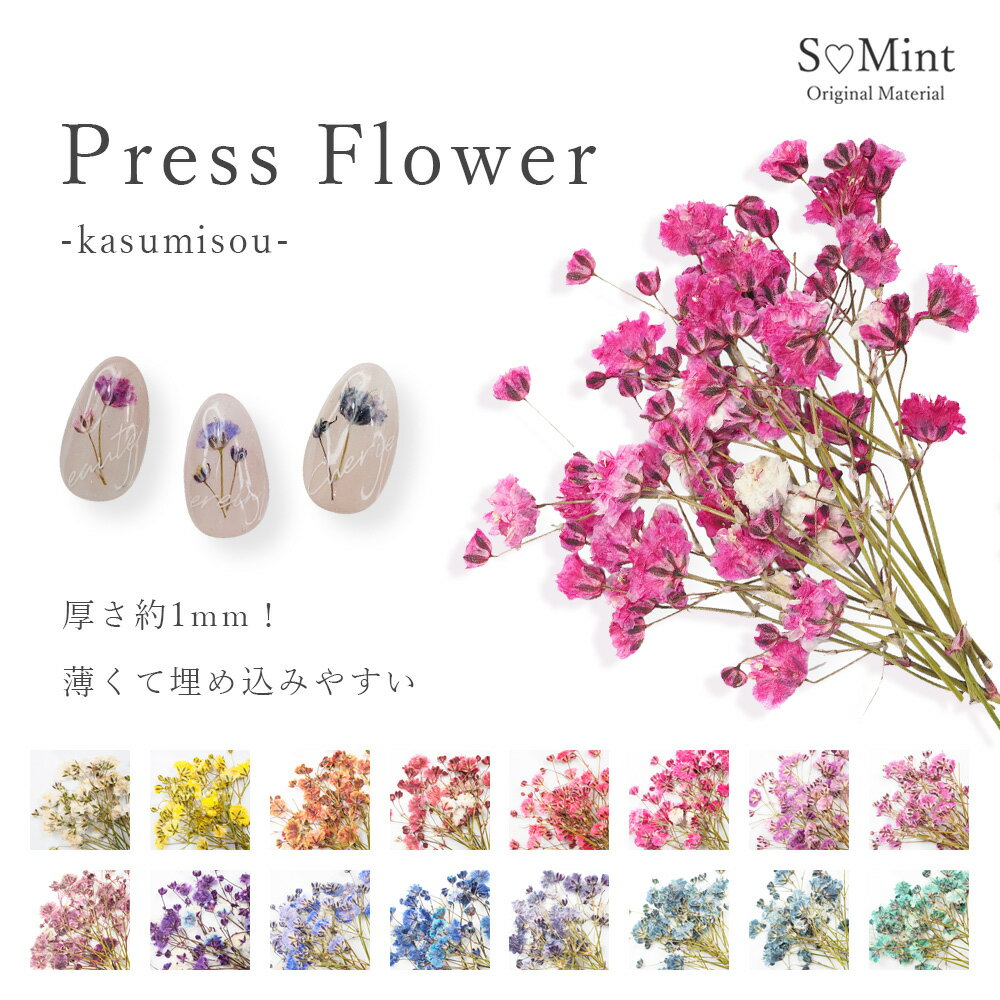 ネイル 押し花 ドライフラワー カスミソウ ハンドメイド【PressFlower　kasumisou】エスミント 高品質 押し花 押花 …