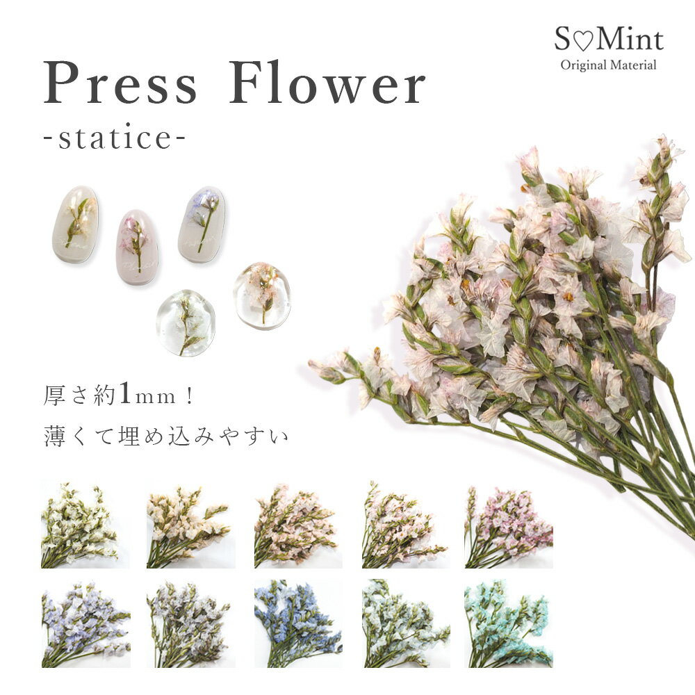 ͥ  ɥ饤ե  ϥɥᥤɡPressFlowerstaticeۥߥ ʼ   ͥ륢 ʥ ɥ饤ե ֥ͥ ֺ ѡ ͥѡ ֥ͥ