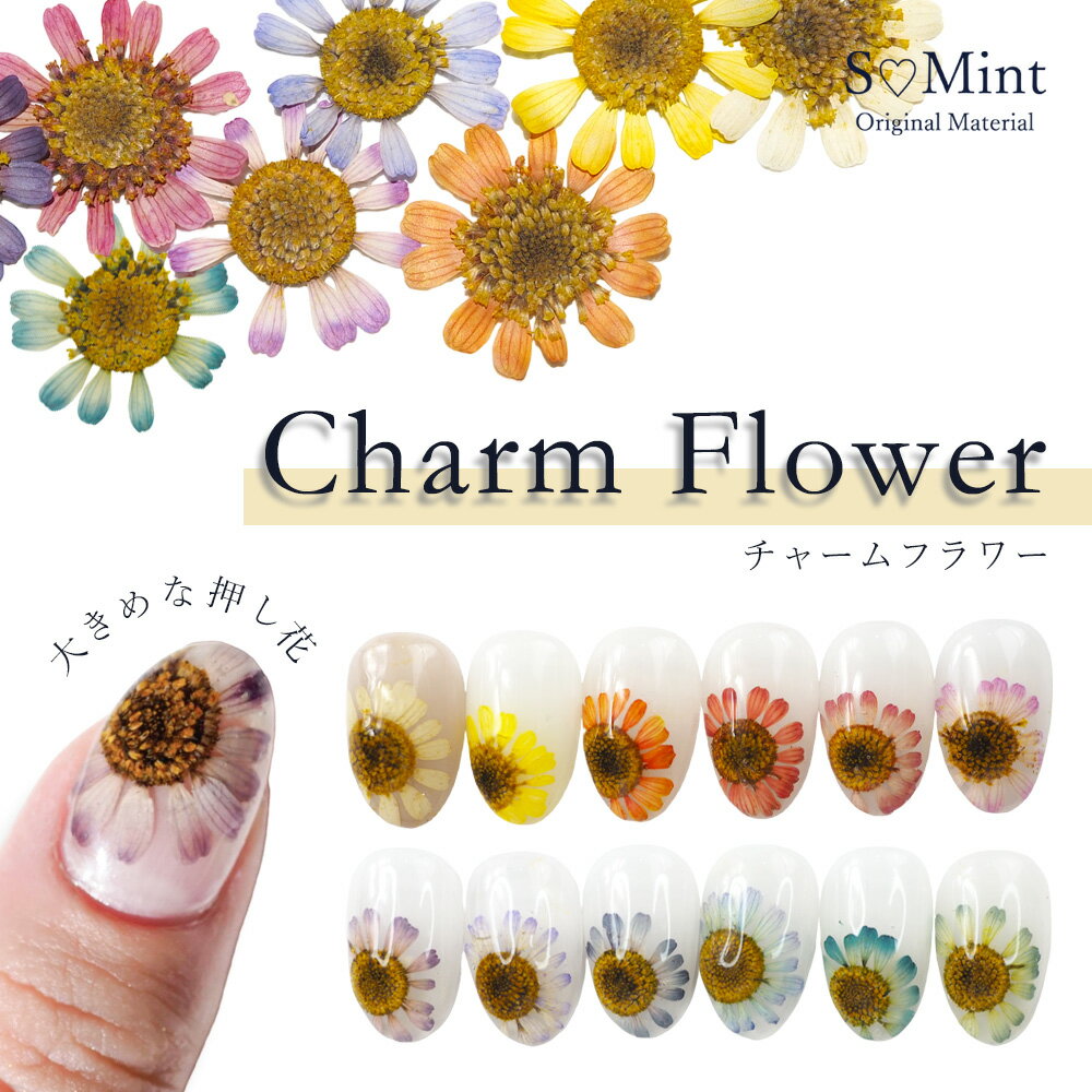 ネイル 国産 押し花 ドライフラワー ハンドメイド【CharmFlower(チャームフラワー)】エスミント 高品質 押し花 押花 ネイルアート ナチ..