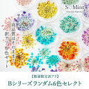【数量限定訳アリ】ネイル 国産 押し花 ドライフラワー ハンドメイド【Bシリーズランダム6色セレクト】エスミント 高品質 押花 ネイルアート ナチュラル ドライ...