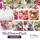 ネイル 押し花 ドライフラワー ハンドメイド【数量限定!ミックスフラワーパック series5】エスミント 高品質 押花 ネイルアート ナチュラル 押し花ネイル...