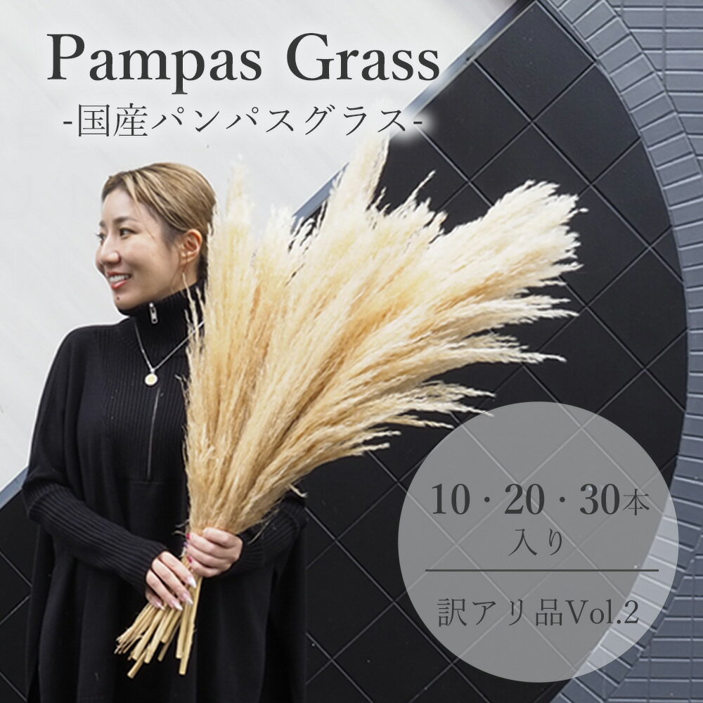 ˳ʡ۹񻺥ѥѥ饹- Vol.2(10,20,30)-ѥѥ饹ѥѥɥ饤եɥ饤ե...