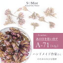 ドライフラワー 押し花 ハンドメイド ネイル【A-71:あの日を思い出す】エスミント ハンドメイド作家 アクセサリー 高品質 押し花 押花 ネイルアート ナチュラル ドライフラワー 押し花ネイル 花材 パーツ ネイルパーツ お花ネイル