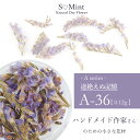 ドライフラワー 押し花 ハンドメイド ネイル【A-36:途絶えぬ記憶】エスミント ハンドメイド作家 アクセサリー 高品質 押し花 押花 ネイルアート ナチュラル ドライフラワー 押し花ネイル 花材 パーツ ネイルパーツ お花ネイル