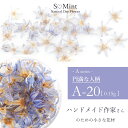 ドライフラワー 押し花 ハンドメイド ネイル【A-20:円満な人柄】エスミント ハンドメイド作家 アクセサリー 高品質 押し花 押花 ネイルアート ナチュラル ドライフラワー 押し花ネイル 花材 パーツ ネイルパーツ お花ネイル