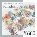 ネイル 押し花 国産 ドライフラワー ハンドメイド【Lace Flower -Random Select-】エスミント 高品質 押し花 押花 ネイルアート ナチ...