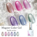 ネイル マグネットジェル ジェルネイル【Magnet Color Gel -Stella series-】エスミント 押し花 押花 ドライフラワー ハンドメイド