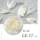 ネイル リーフ 押し花 ドライフラワー ハンドメイド【Leaf LE-17】 エスミント 高品質 ボタニカル 葉 押し花 押花 ネイルアート ナチュラル ドライフラワー 押し花ネイル 花材 パーツ ネイルパーツ お花ネイル