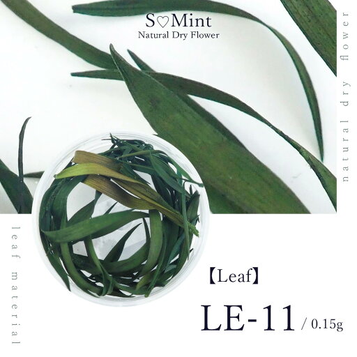 ネイル リーフ 押し花 ドライフラワー ハンドメイド【Leaf LE-11】 エスミント 高品質 ボタニカル 葉 押し花 押花 ネイルアート ナチュラル ドライフラワー 押し花ネイル 花材 パーツ ネイルパーツ お花ネイル ネイル リーフ 押し花 ドライフラワー ハンドメイド【Leaf LE-11】 エスミント 高品質 ボタニカル 葉 押し花 押花 ネイルアート ナチュラル ドライフラワー 押し花ネイル 花材 パーツ ネイルパーツ お花ネイル