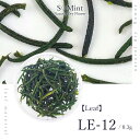 ネイル リーフ 押し花 ドライフラワー ハンドメイド【Leaf LE-12】エスミント 高品質 ボタニカル 葉 押し花 押花 ネイルアート ナチュラル ドライフラワー 押し花ネイル 花材 パーツ ネイルパーツ お花ネイル