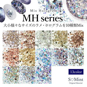 ネイル ラメ レジン グリッター ホログラム 【Mix Hologram -MH series-】エスミント ジェルネイル レジン ジェル ネイルアート キラキラ ネイルパーツ レジンアート レジン レジンパーツ