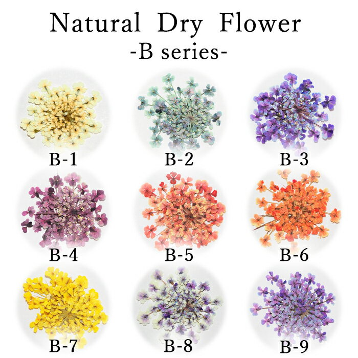 【Bシリーズ】No1〜9(0,05g入り)100％国産で高品質 押し花！豊富なカラーバリエーション/ ネイルアート アクセサリー　ハンドメイド エスミント ナチュラル ドライフラワー ドライフラワー 押し花ネイル 花材 アクセサリーパーツ ネイルパーツ