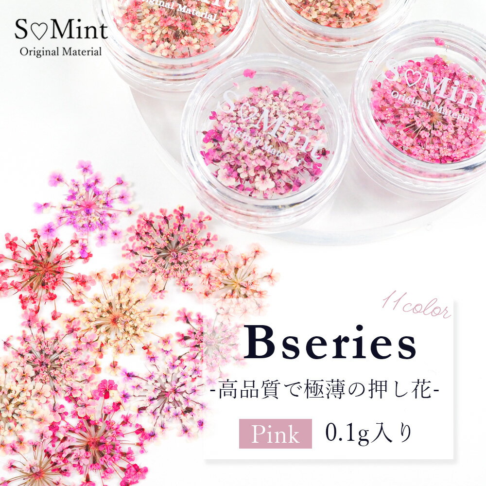 【Bシリーズ[Pink]0.1g入り】100％国産で高品質 押し花！豊富なカラーバリエーション/ ネイルアート 　ハンドメイド エスミント ナチュラル ドライフラワー ドライフラワー 押し花ネイル 花材 パーツ ネイルパーツのサムネイル