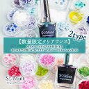 【数量限定クリアランス】ドライフラワー レジン 押し花 ハンドメイド ネイル【ネイルパーツにもアクセ作りにも!おしゃれでかわいいドライフラワーのスーパーバリエー...