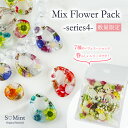 ネイル 押し花 ドライフラワー ハンドメイド【数量限定!ミックスフラワーパック シリーズ4】エスミント 高品質 押し花 押花 ネイルアート ナチュラル ドライフ...