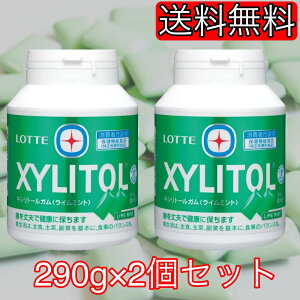 キシリトール ライムミント ガム 290g×2 XYLITOL Lime Mint Gum 290g×2 シュガーレス 日本歯科医師会の推薦商品 歯 健康 清涼感 マルチトール XYLITOL Gum コストコ