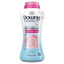 ダウニー ビーズ フレッシュ プロテクト 1060g Downy Fresh Protect Beads 37.5oz