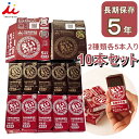 井村屋 えいようかん チョコえいようかん 10本 詰め合わせ 外箱付チョコ羊羹 非常食 ようかん 長期保存 保存食 5年 お菓子 5年保存 備蓄 防災 長期保存食品 防災用食品 ローリングストック カロリー補給 スポーツ時 低血糖 小腹 お手軽 アウトドア 登山 フェス ええようかん