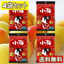ロッテ LOTTE 小梅 袋 × 4袋 和歌山県産 南高梅果汁使用 個包装 大容量 業務用 お菓子 おやつ 飴 キャンディ(4)